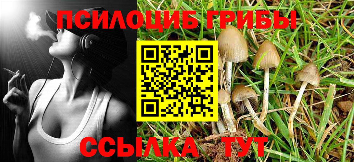 Галлюциногенные грибы Psilocybe  Галлюциногенные грибы мухоморы  где купить наркотик  Зеленодольск  Вход с VPN 